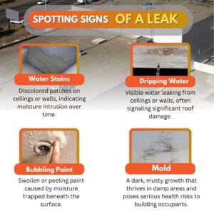 Spotting Signs of A Commercial Roof Leak